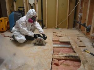 Mold Removal Process